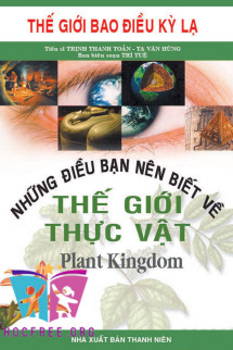 Những Điều Bạn Nên Biết Về Thế Giới Thực Vật – Song Ngữ