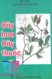 Cây Hoa Cây Thuốc