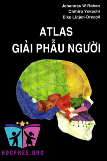 Atlas Giải Phẫu Người