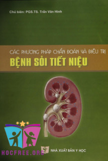 Các Phương Pháp Chẩn Đoán Và Điều Trị Bệnh Sỏi Tiết Niệu